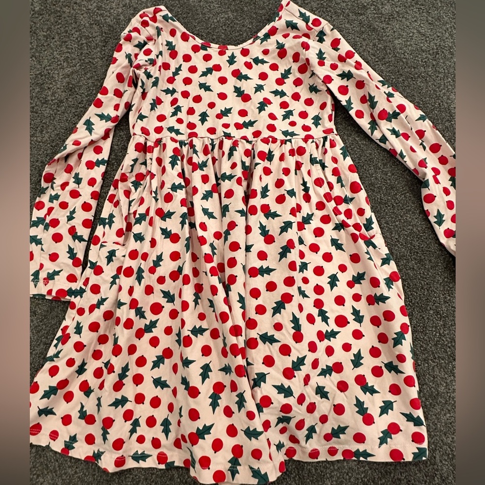 Hanna Andersson Skater Dress 8